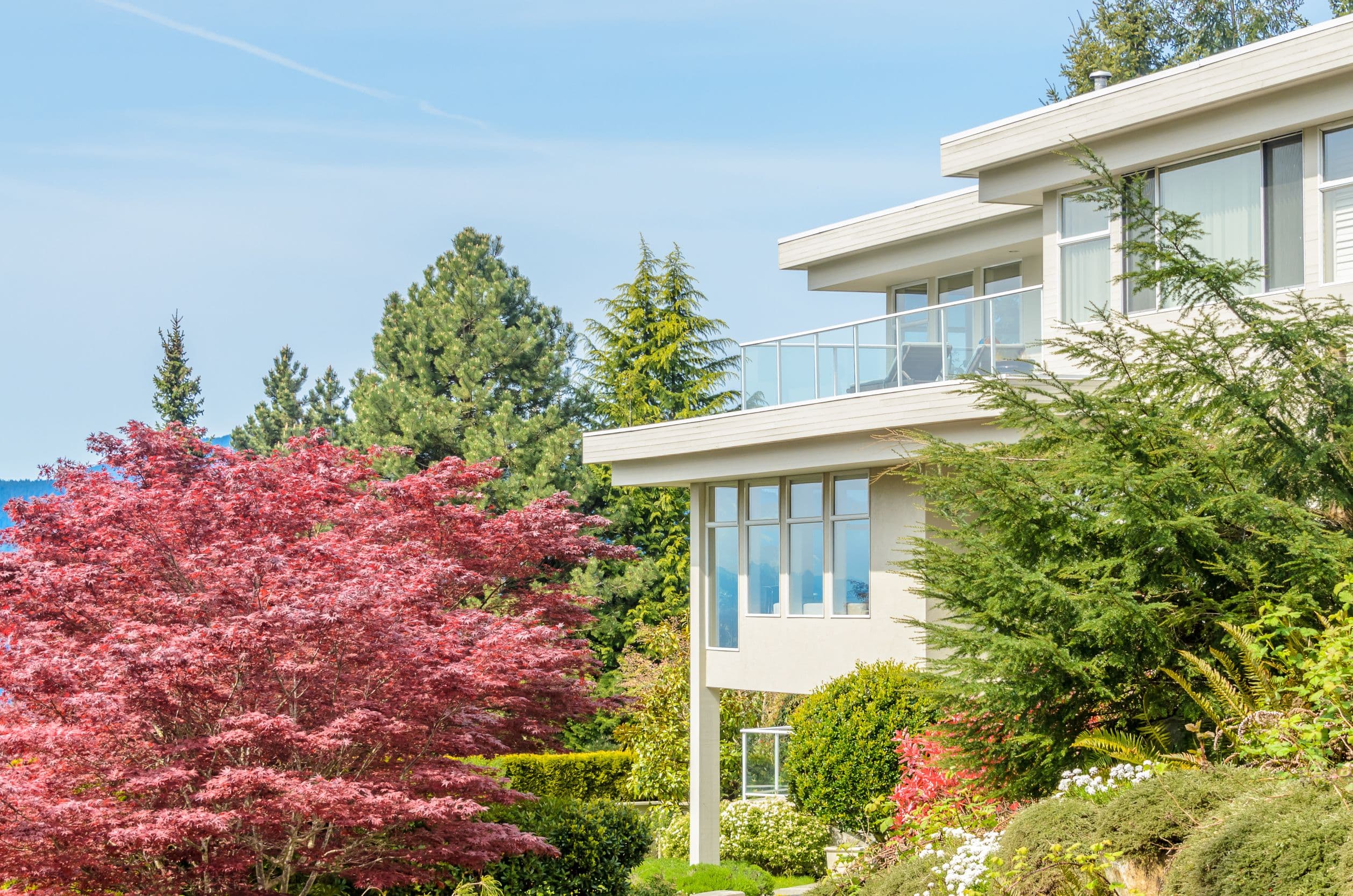Modern Home Exterior with Vibrant Foliage and Greenery