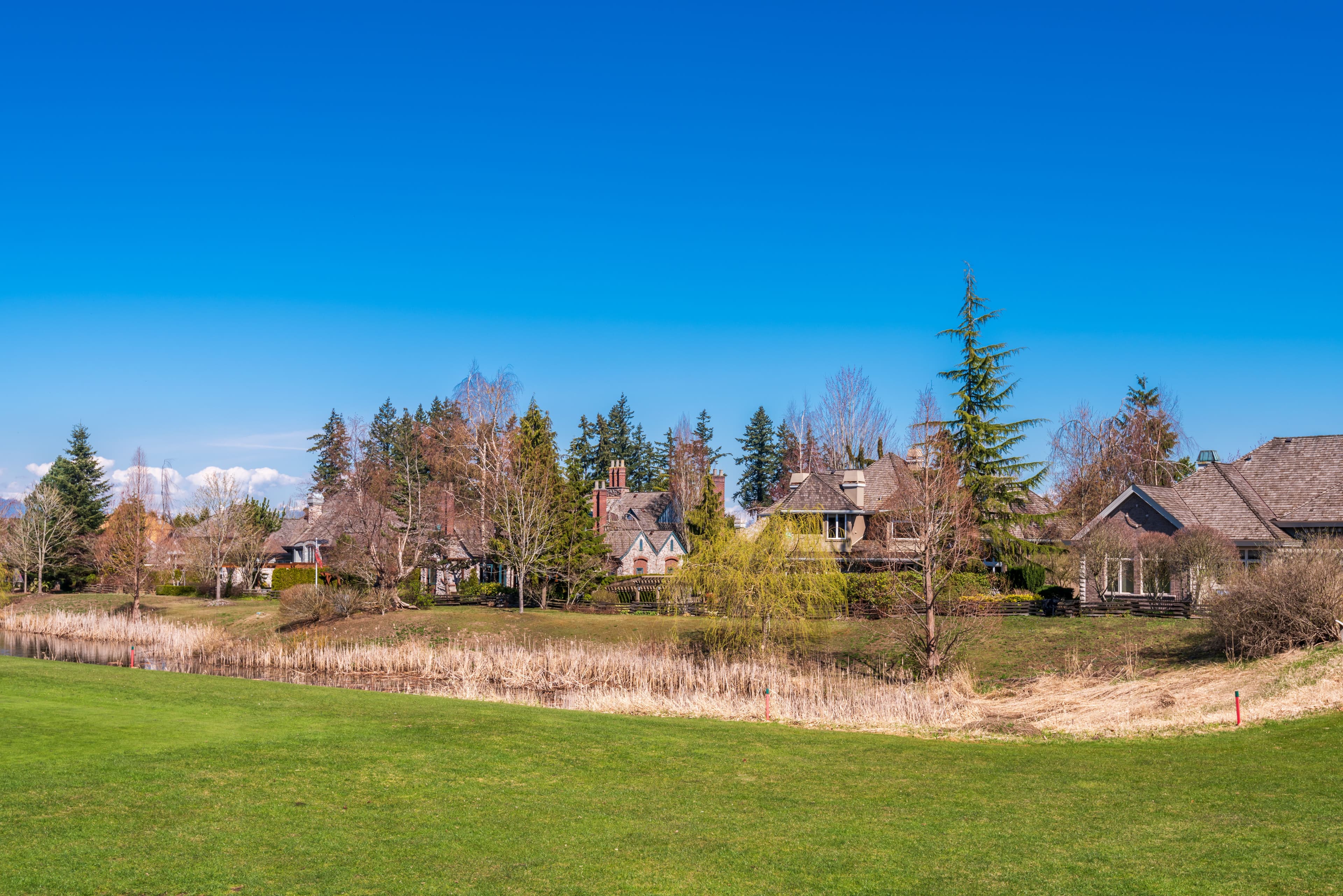 Houses In Suburb With Spring Blossom In The North America. Luxury Houses With Nice White And Pink