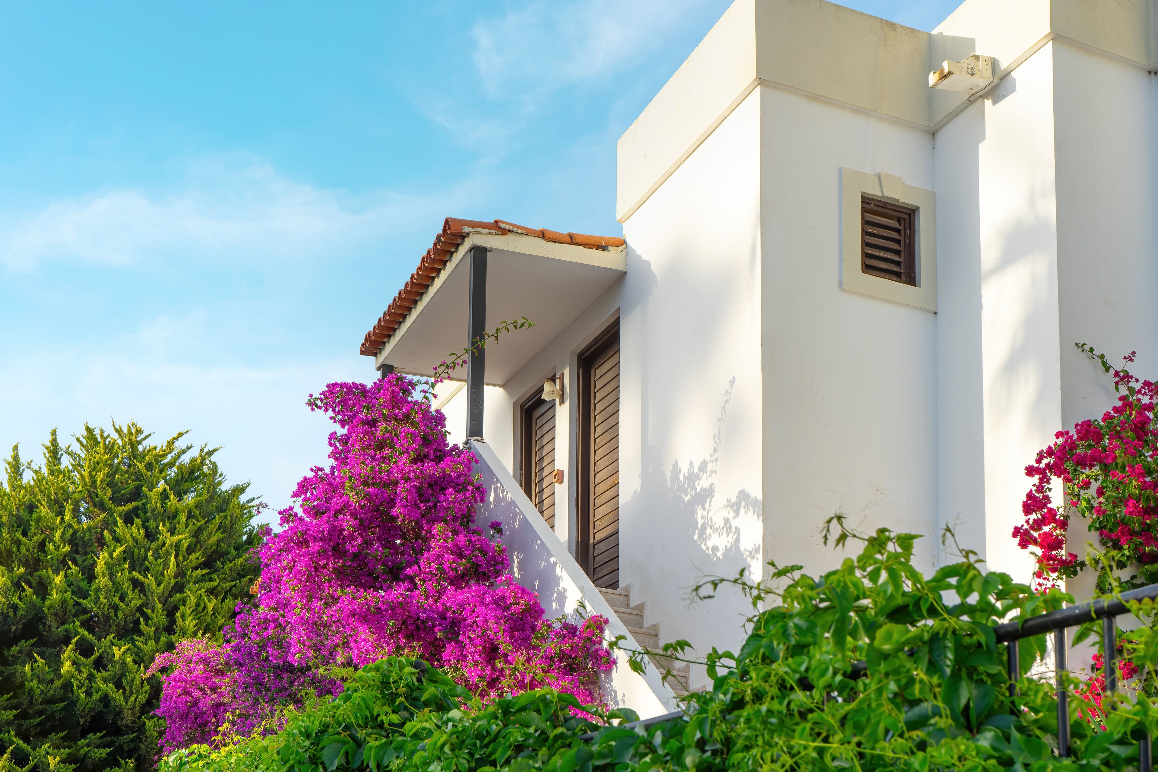 Exterior of a White Building with Lush Flowers